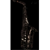 ANTIGUA - Alto Saxophone - AS4240BN