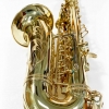 THEO WANNE - Alto Saxophone - SHAKTI