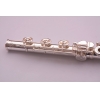 DI ZHAO - Flute  - HANDMADE DZ-DSP BEF /options/