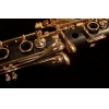 BACKUN - Bb Clarinet - PROTEGE /Gold/