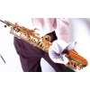 BG - Swab - Sax Alto - A30